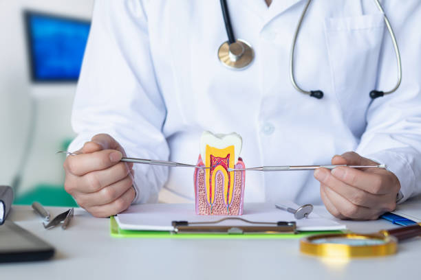 Best Emergency Dentist for Special Needs Patients in White Hall, AR